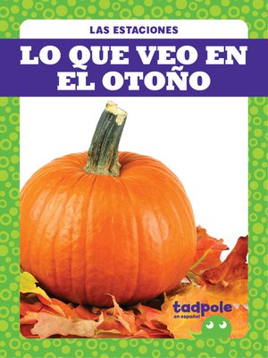 cover image of Lo que veo en el otoño (What I See Fall)